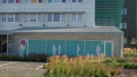 zg_65